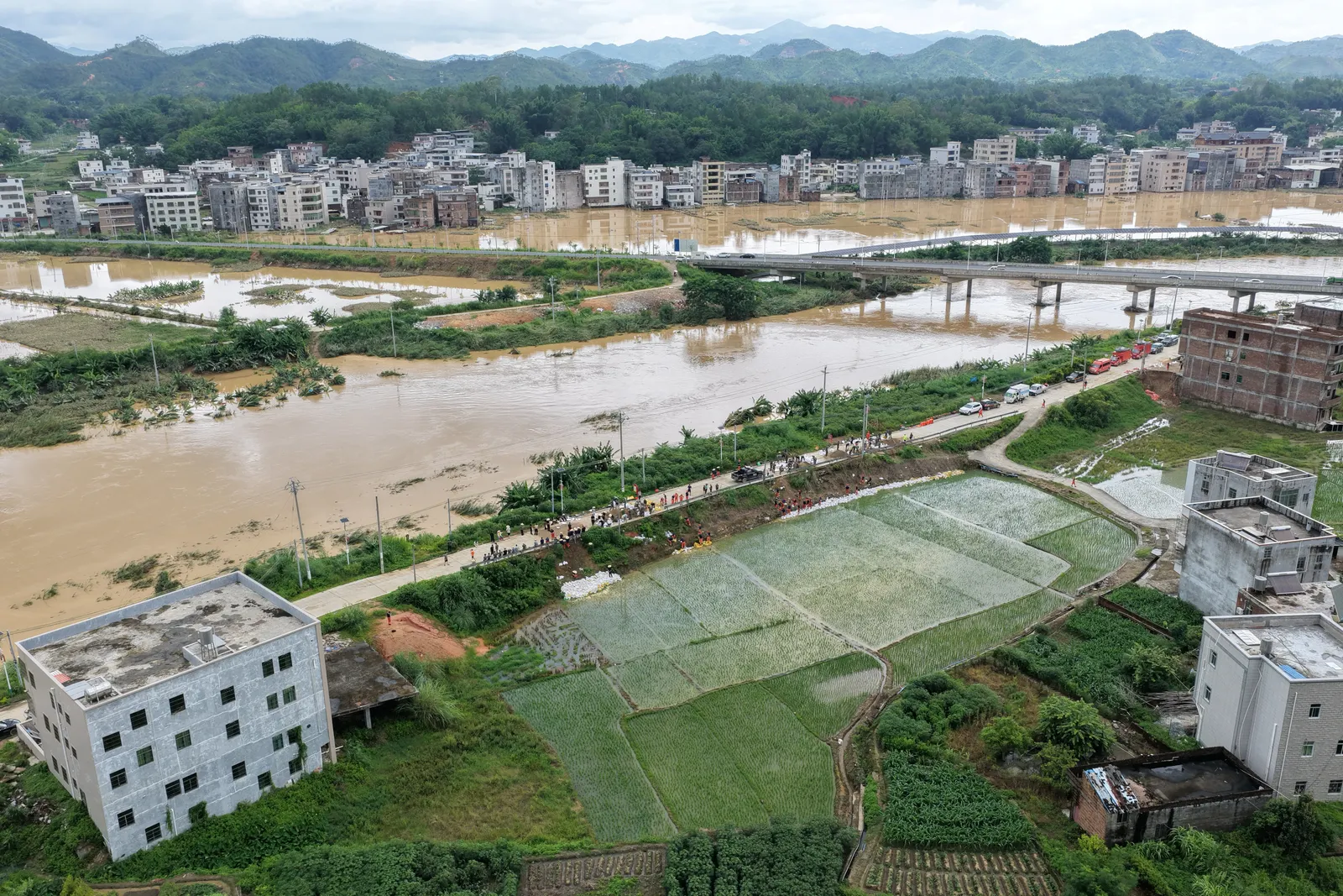 Southern, central China brace for flood risk after Typhoon Noul 