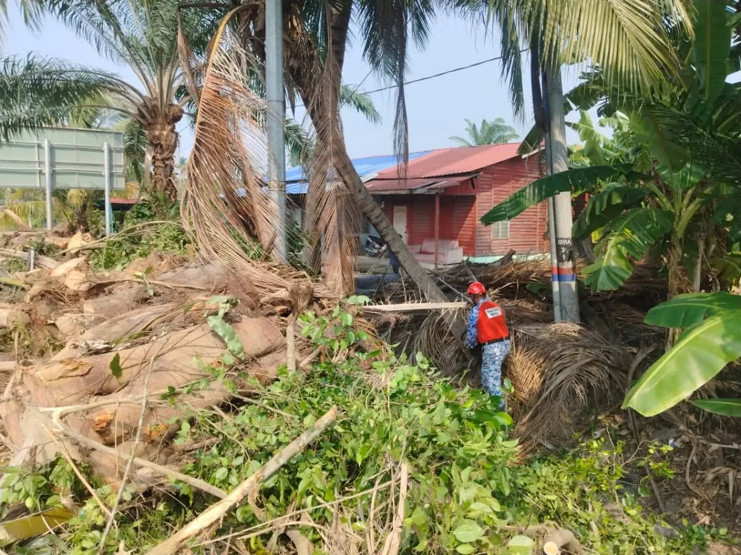 MPKL tebang pokok berisiko, tingkat keselamatan pengguna jalan raya
