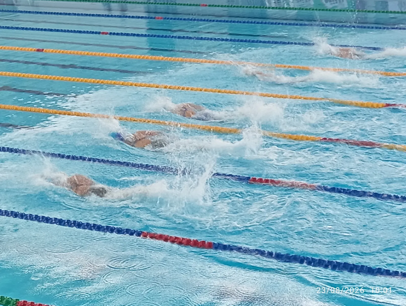 SUKMA 2026: Shannon buru emas kelapan, Selangor terus kuasai kolam renang