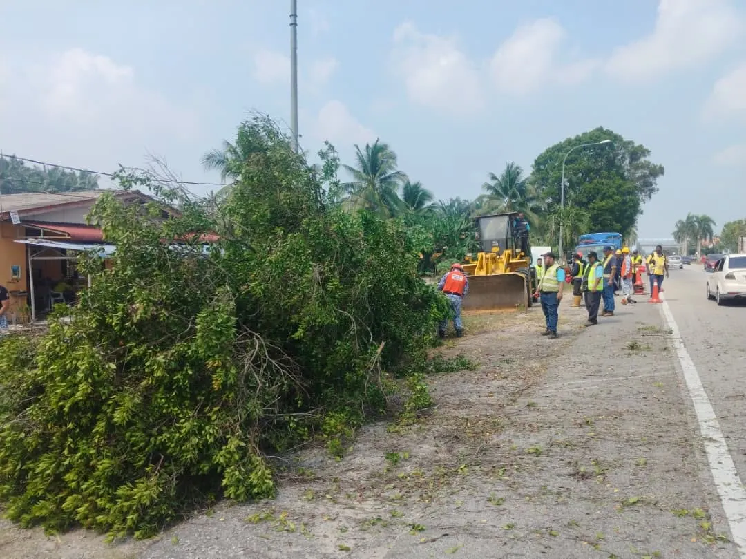 MPKL tebang pokok berisiko, tingkat keselamatan pengguna jalan raya