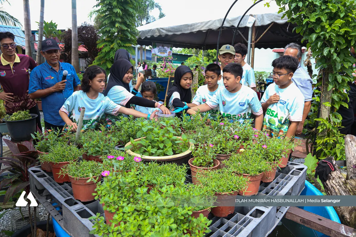 Kebun komuniti hijaukan bandar, erat kejiranan, jana pendapatan