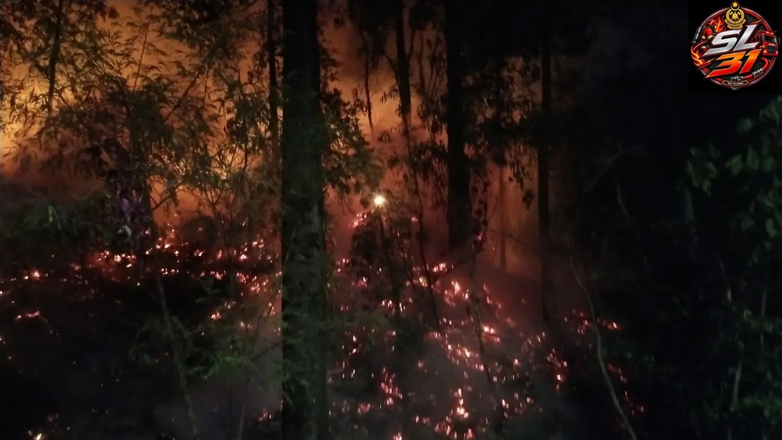 蒲种山庄林地失火 占地约一英亩