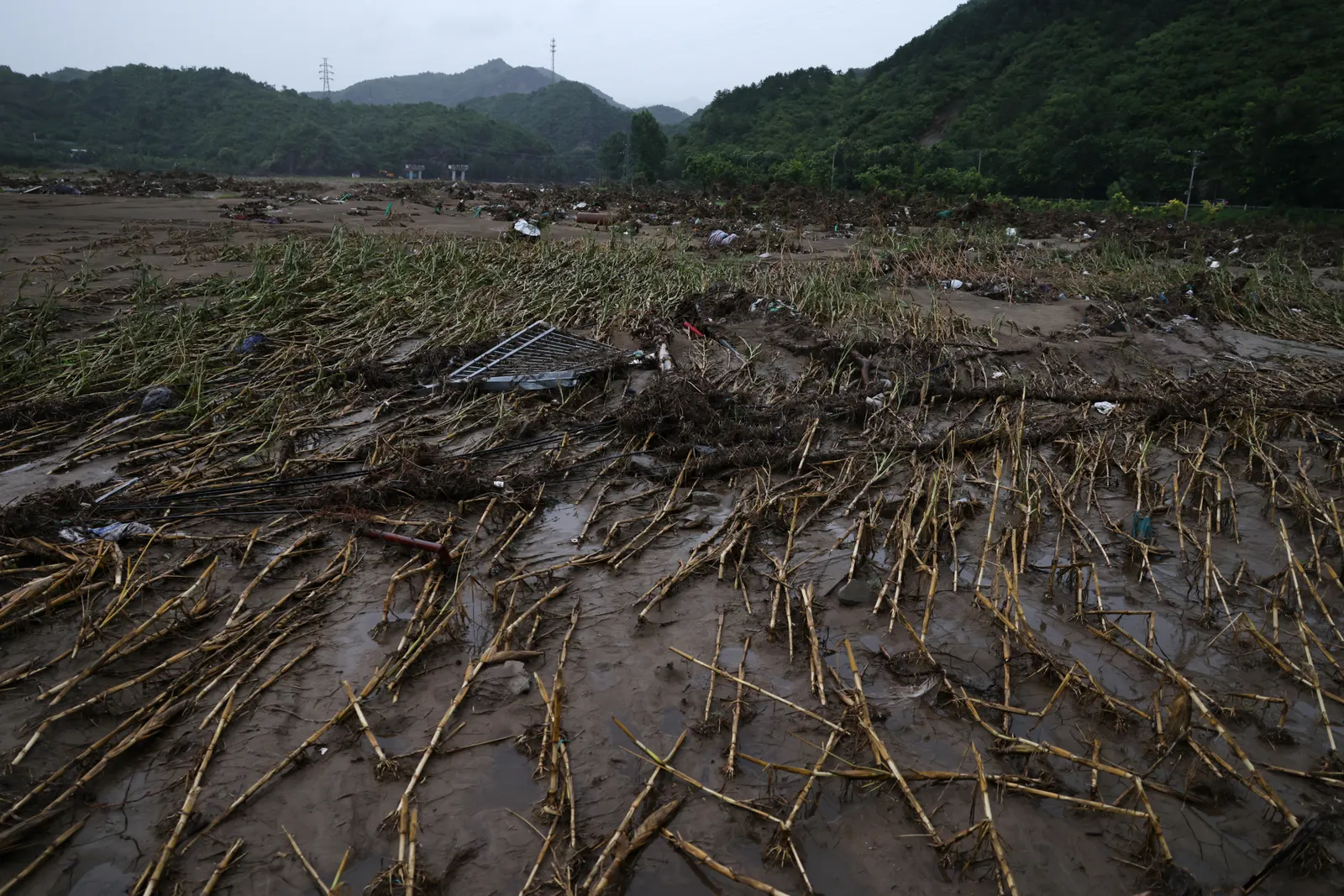 Heat, floods threaten China crops as US farm purchases loom