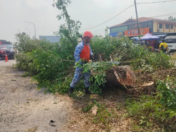 MPKL tebang pokok berisiko, tingkat keselamatan pengguna jalan raya