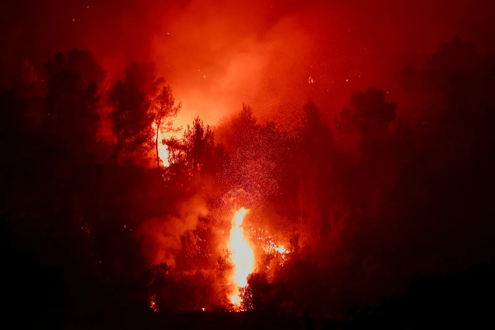 Europe's wildfire season exposes climate insurance gap