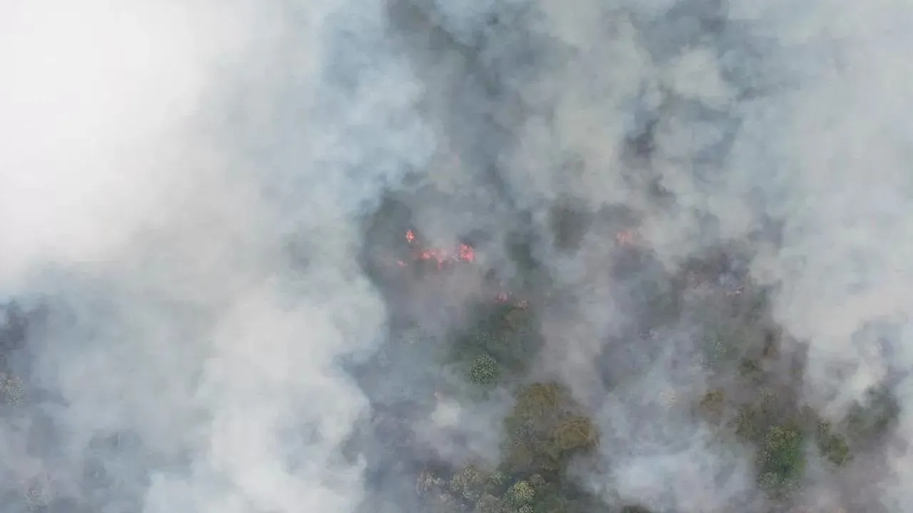 Indonesia rekod 1,437 titik panas, jerebu rentas sempadan merebak