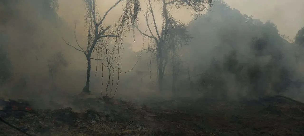 About 2.4ha of FRIM forest in Bidor catches fire