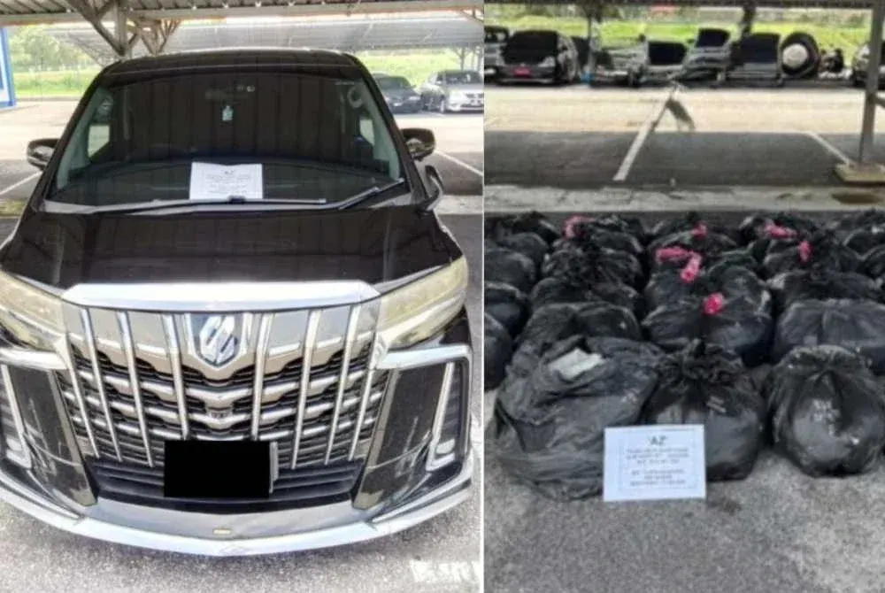 Dua lelaki ditahan bawa 690 kg daun ketum dalam Alphard
