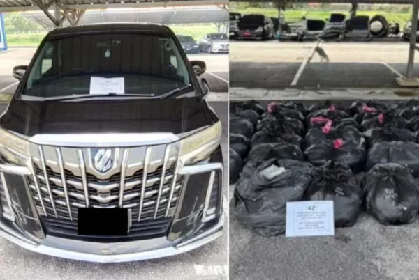 Dua lelaki ditahan bawa 690 kg daun ketum dalam Alphard