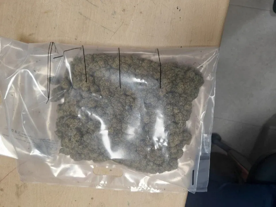 Wanita Malaysia dicekup di New Delhi seludup 15kg ganja