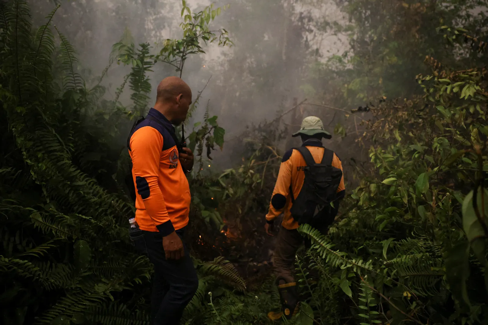 Indigenous, civil-society groups sue Prabowo over forest fires