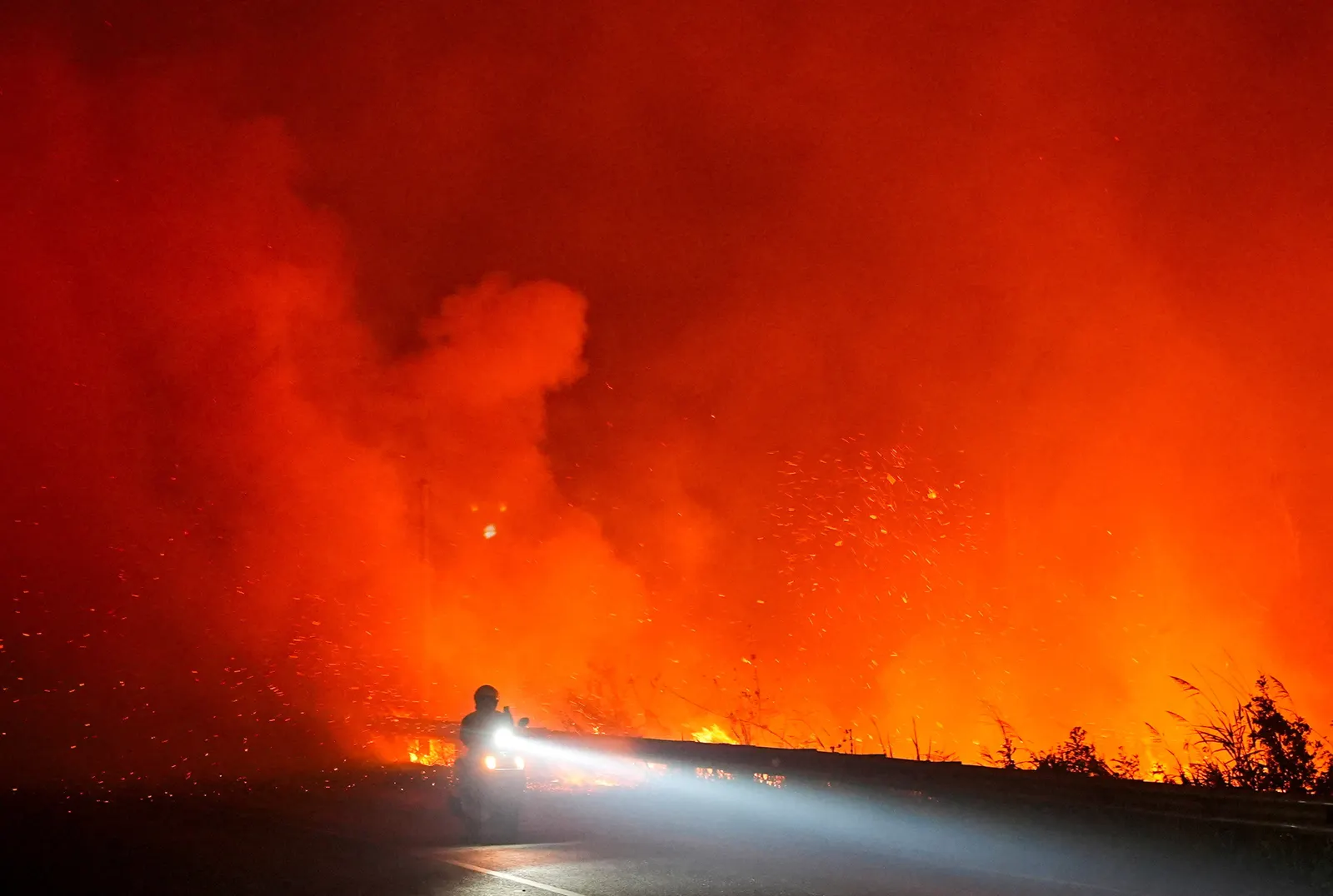Indonesia plans tougher action against slash-and-burn land clearing