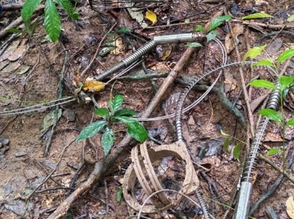 Jerat haram ancam hidupan liar, 27 dimusnahkan di hutan Selangor dan Perak