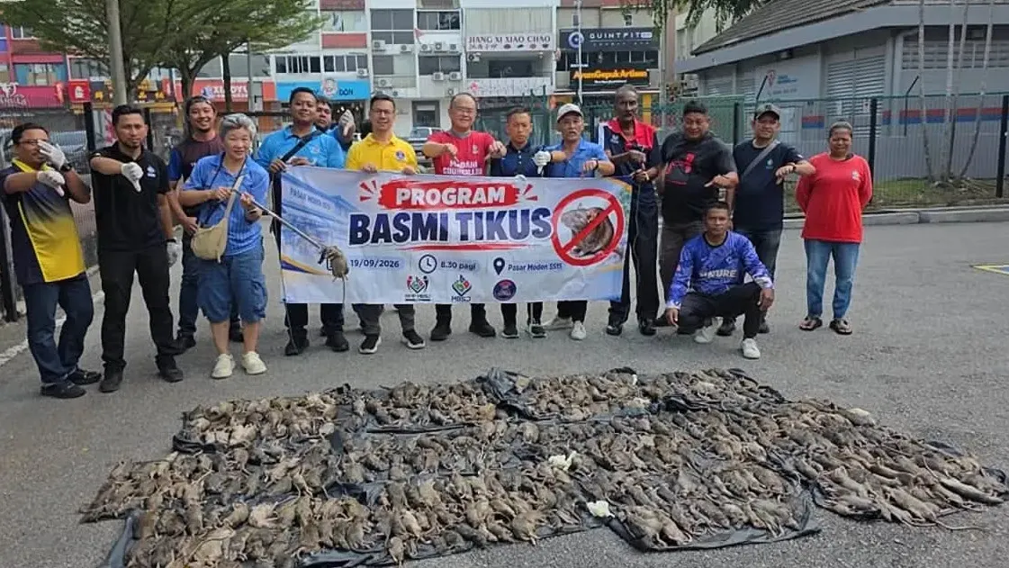 426 bangkai tikus dikutip di sekitar SS15 dalam operasi MBSJ