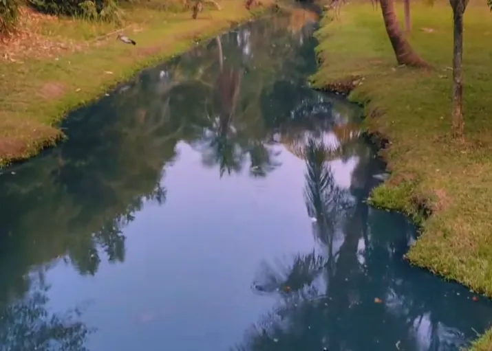 Sewage overflow found to be cause of Tasik Wawasan contamination