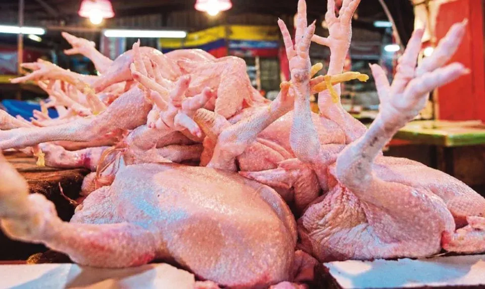 6.5 tan ayam mentah disyaki tidak disembelih ikut hukum syarak dirampas di Puchong