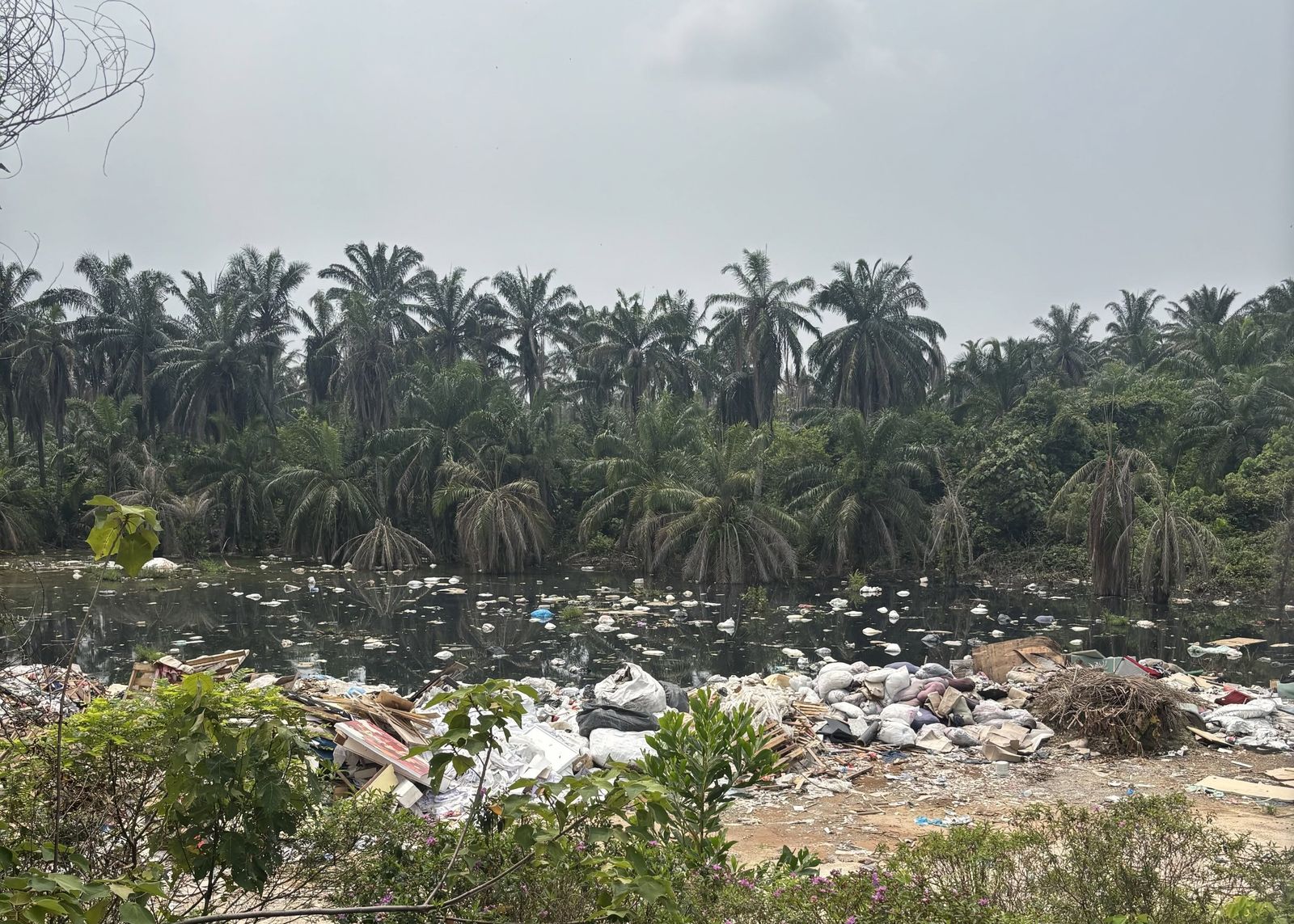 Sampah haram: Gagal lunas kos bersih tapak, pemilik tanah berdepan rampasan