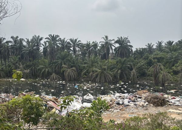 Sampah haram: Gagal lunas kos bersih tapak, pemilik tanah berdepan rampasan