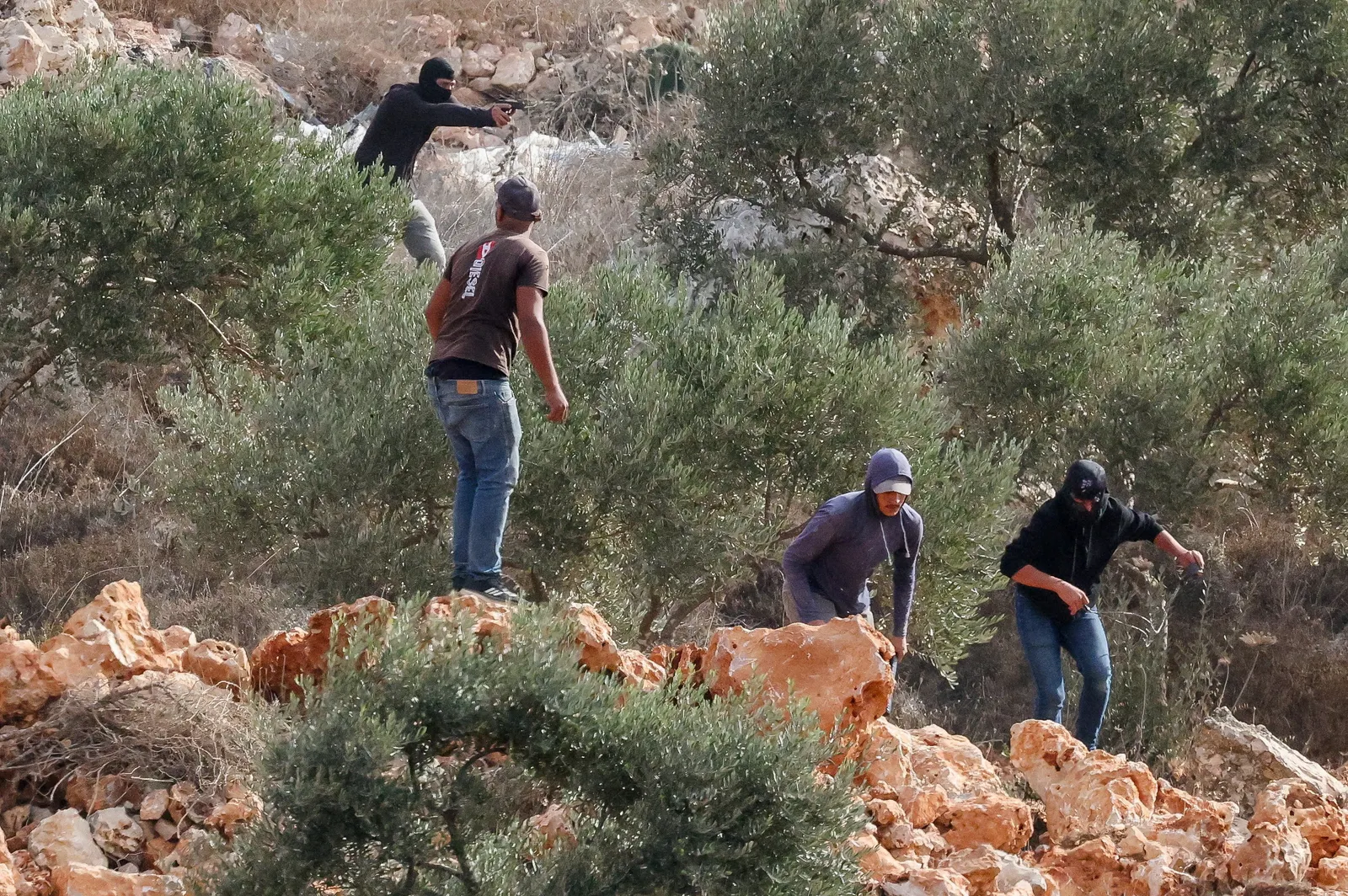 Israeli settlers burn olive trees, injure journalist in West Bank attack