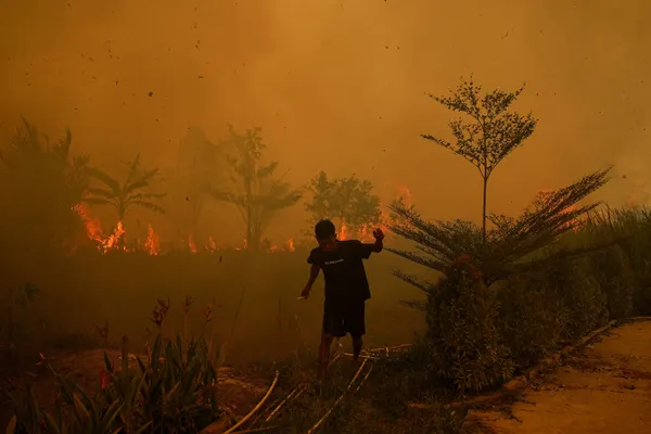Indonesia's fire hotspots surpass 1,100, Kalimantan hardest hit