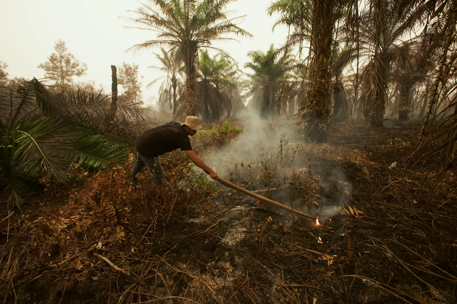 Indonesia's burned land doubles in September as fires rage
