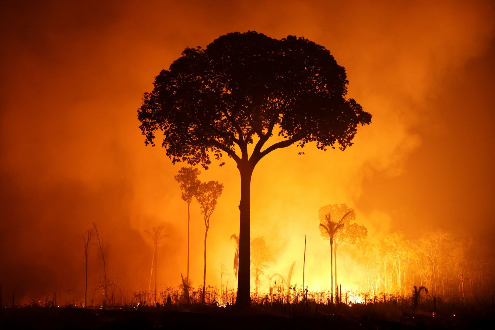 Global warming is accelerating, leading climate scientist Rockström says