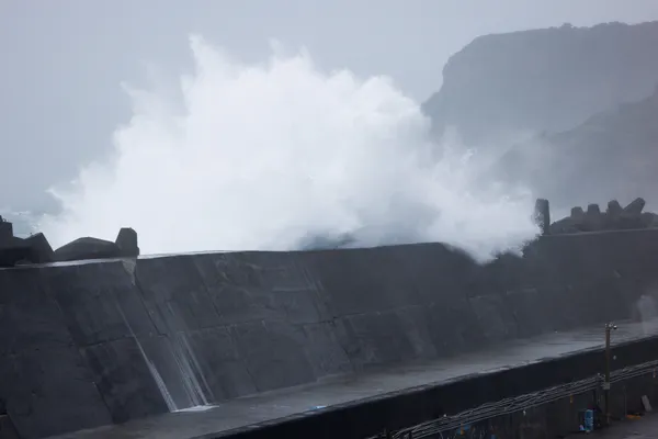 Taiwan shuts down as powerful Typhoon Champi closes in