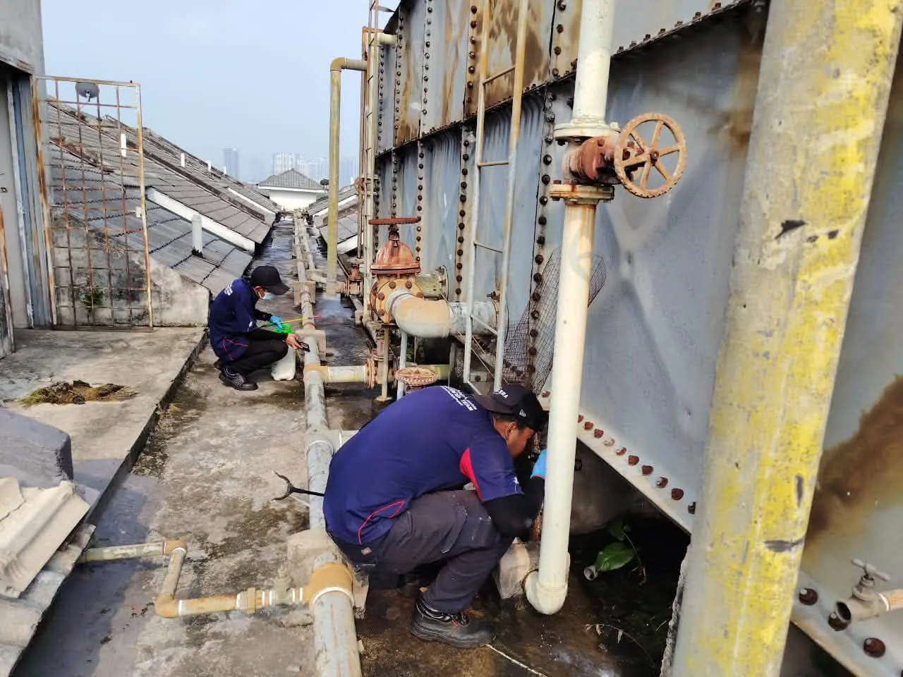 MPAJ keluar tiga kompaun operasi cegah denggi di Taman Lembah Maju