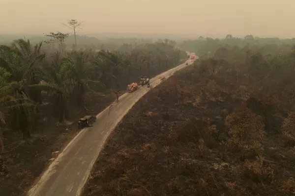 Indonesia's burned land doubles in September as fires rage